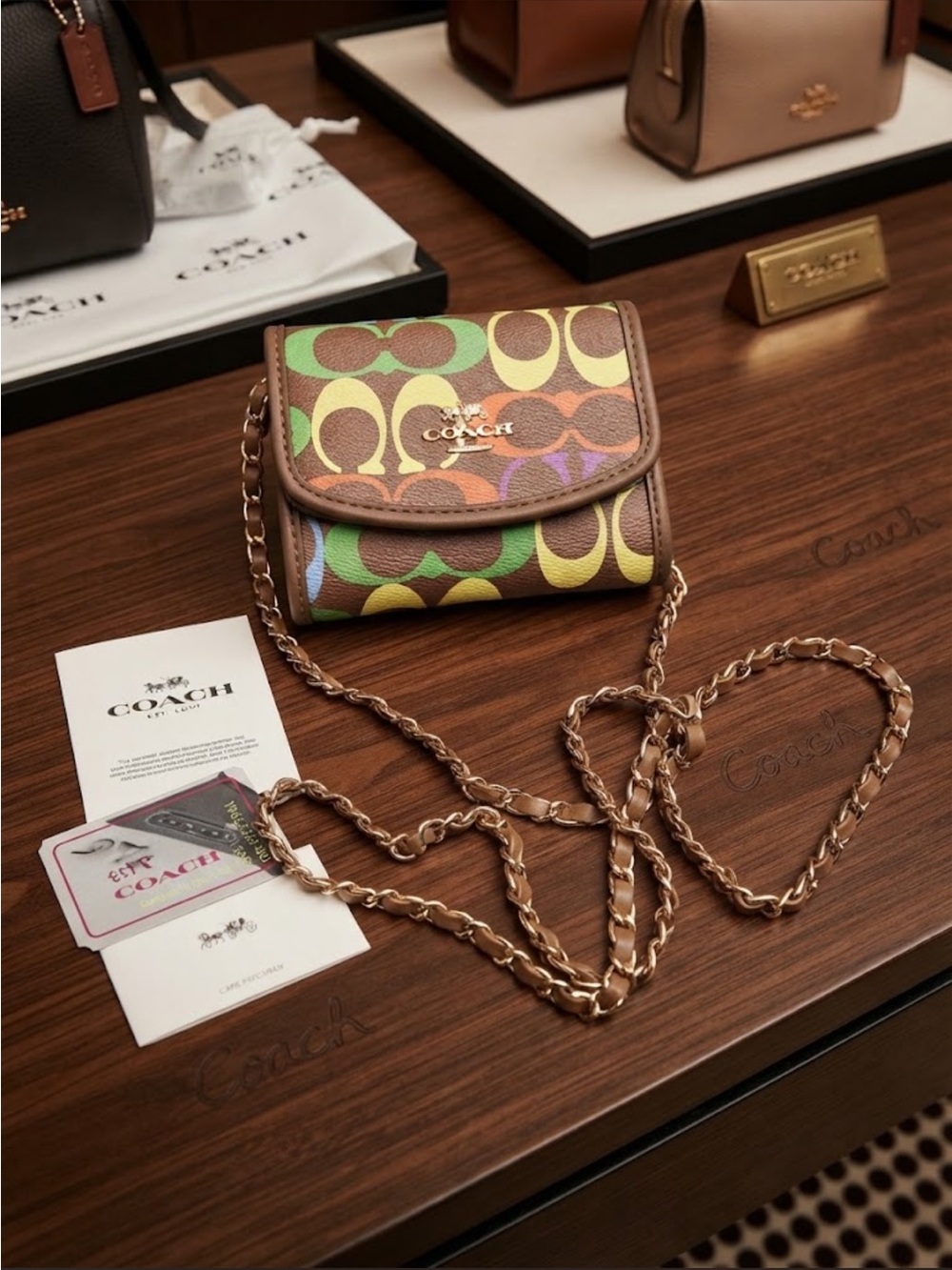 Multicolor Signature Small Chain Crossbody in Brown Trim